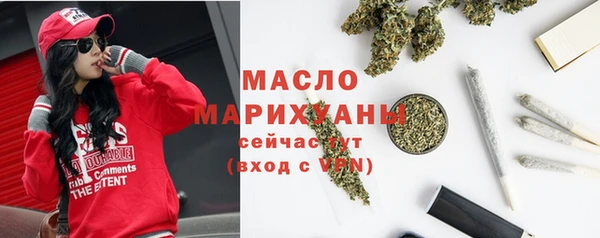 дмт Новодвинск
