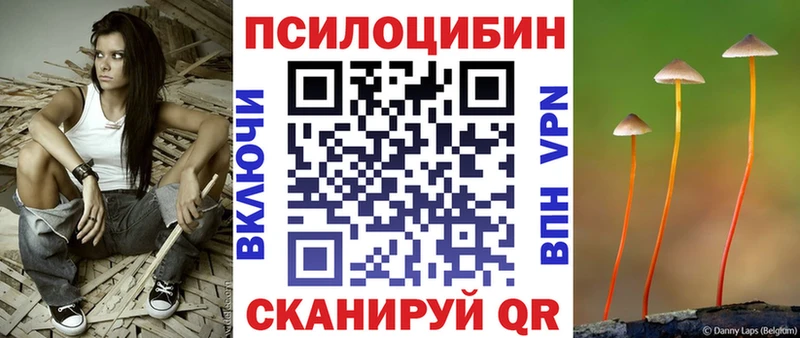 где купить наркоту Татарск Псилоцибиновые грибы Cubensis